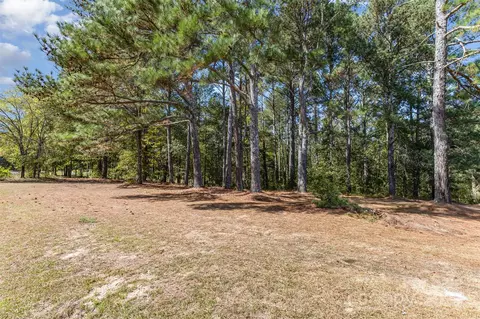 00 Will Evans Lot 2 B Rd #LOT 2 B, Jefferson, SC 29718 photo 4