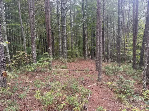 9587 Shortoff View 57 Ter #57, Nebo, NC 28761