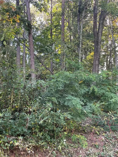 99999 Shelby Dr, Asheville, NC 28803