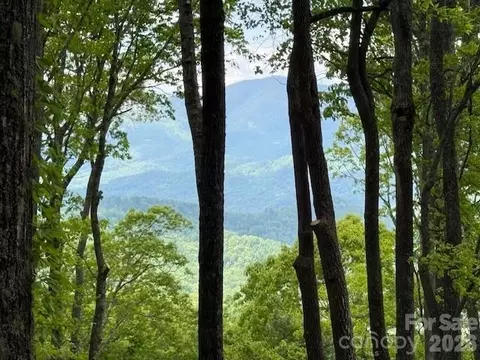 768 Boar Ridge 121 Rd #121, Sylva, NC 28713