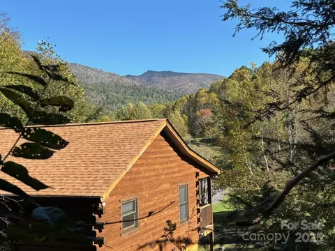 408 Dora Ln, Bakersville, NC 28705