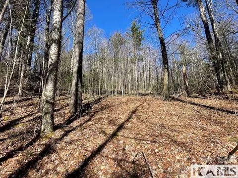 1 Bear Log Rd, Cashiers, NC 28717