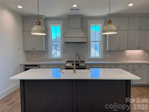 245 Davidson Gateway Dr, Davidson, NC 28036 photo 2