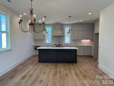 245 Davidson Gateway Dr, Davidson, NC 28036 photo 7