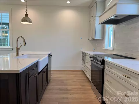 245 Davidson Gateway Dr, Davidson, NC 28036 photo 3
