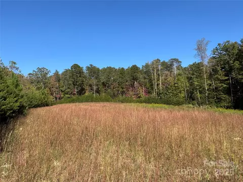 Other - 147 Helton Ln, Mill Spring, NC 28756 photo 4 of 10