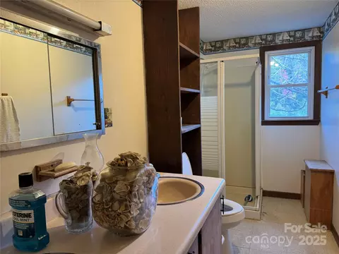 Bath - 147 Helton Ln, Mill Spring, NC 28756 photo 1 of 1