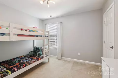10900 Tailwater St, Davidson, NC 28036 photo 24