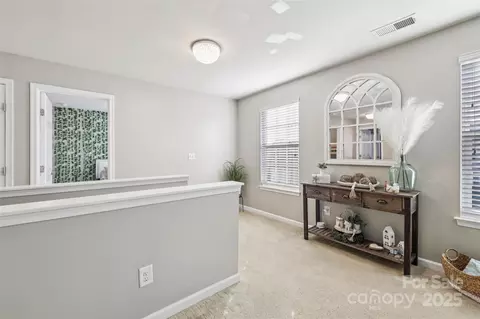 10900 Tailwater St, Davidson, NC 28036 photo 23