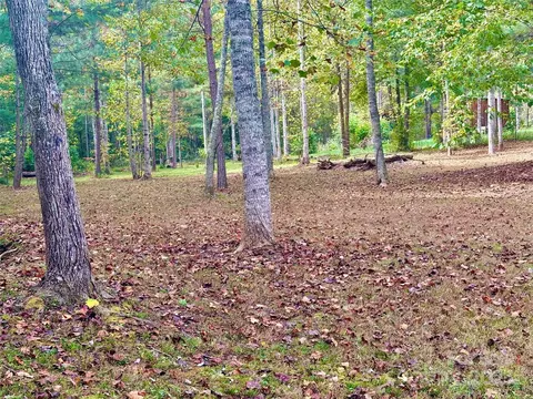 649 Fire Tower Rd, Bostic, NC 28018 photo 11