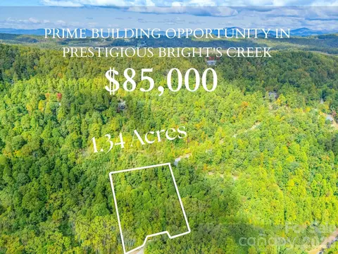 000 Deep Gap Farm 2021 Dr #2021, Mill Spring, NC 28756 photo 5