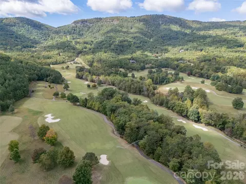 000 Deep Gap Farm 2021 Dr #2021, Mill Spring, NC 28756 photo 11