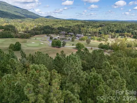 000 Deep Gap Farm 2021 Dr #2021, Mill Spring, NC 28756 photo 8