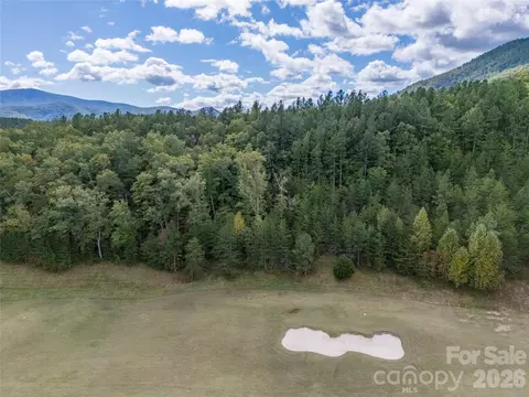 000 Deep Gap Farm 2021 Dr #2021, Mill Spring, NC 28756 photo 12