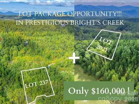000 Deep Gap Farm 2021 Dr #2021, Mill Spring, NC 28756 photo 4