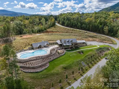 000 Deep Gap Farm 2021 Dr #2021, Mill Spring, NC 28756 photo 20