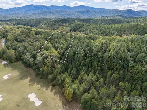 000 Deep Gap Farm 2021 Dr #2021, Mill Spring, NC 28756 photo 16