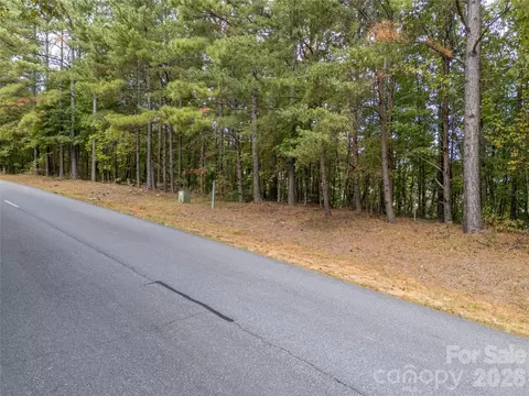 000 Deep Gap Farm 2021 Dr #2021, Mill Spring, NC 28756 photo 7