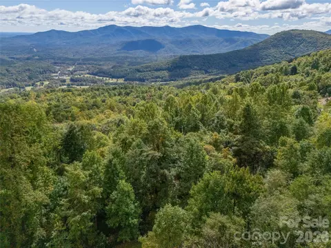 000 Nottingham 237 Dr #237, Mill Spring, NC 28756 photo 20