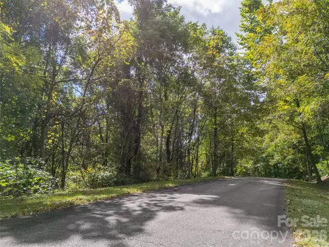 000 Nottingham 237 Dr #237, Mill Spring, NC 28756 photo 19
