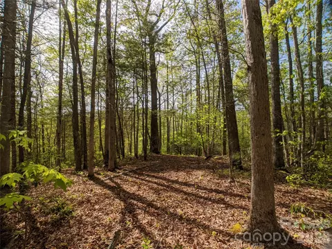 1156 Bear River Lodge 61 Trl #61, Marshall, NC 28753