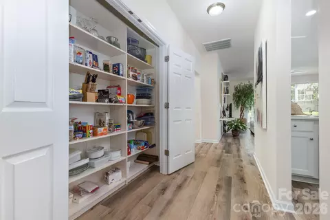 Entry Way - 881 Platinum Dr, Fort Mill, SC 29708 photo 3 of 4
