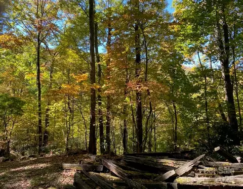Tawodi Trail, Maggie Valley, NC 28751