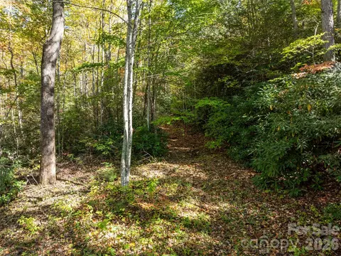 0000 Old Post Office Rd, North Cove, NC 28752 photo 16