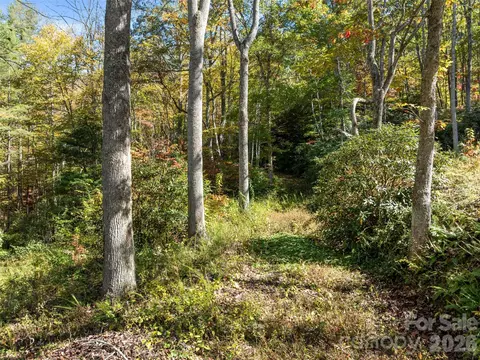 0000 Old Post Office Rd, North Cove, NC 28752 photo 15