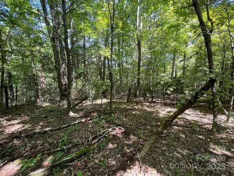 99999 Morgan Hill 4 Rd #4, Fairview, NC 28730