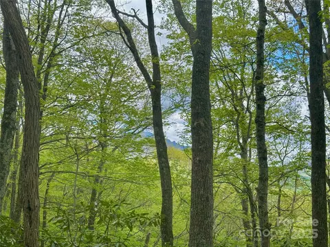 4 Jackson Ridge Road #4, Boone, NC 28607 photo 18