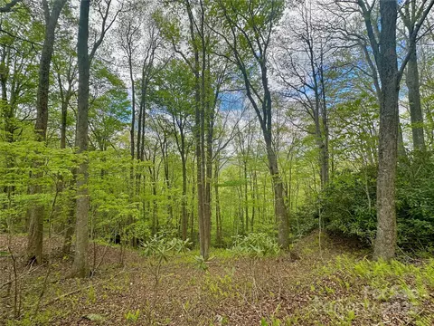 4 Jackson Ridge Road #4, Boone, NC 28607 photo 17