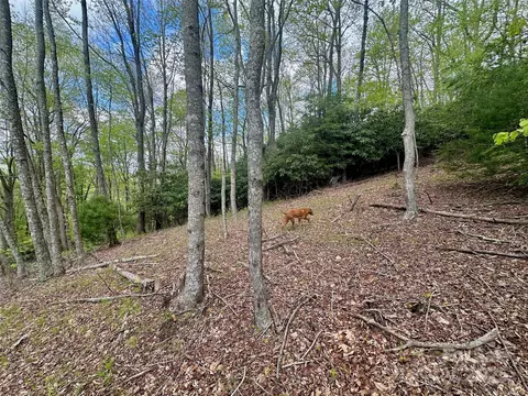 4 Jackson Ridge Road #4, Boone, NC 28607 photo 13