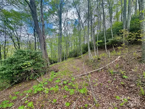 4 Jackson Ridge Road #4, Boone, NC 28607 photo 15