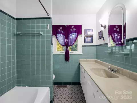 Bath - 821 Warrior Dr, Tryon, NC 28782 photo 2 of 3
