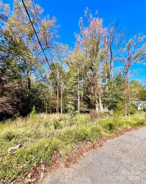 000 Riveroaks Ln, Lancaster, SC 29720 photo 3