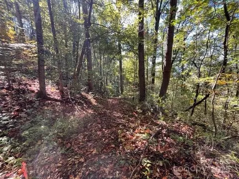 99999 Moody Cove Rd, Weaverville, NC 28787