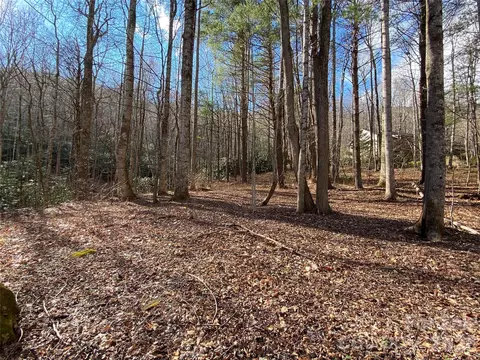 12 Laurel Branch Dr, Black Mountain, NC 28711