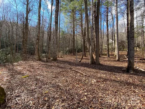 12 Laurel Branch Dr, Black Mountain, NC 28711