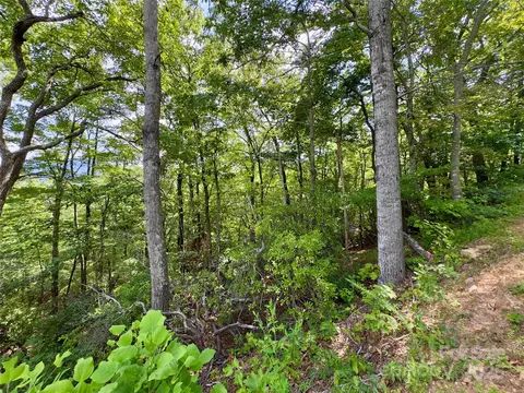 94 Galax T-44 Dr #T-44, Black Mountain, NC 28711
