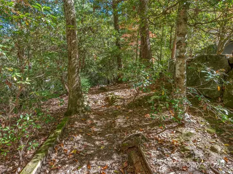 89 Memory Ln, Saluda, NC 28773 photo 35