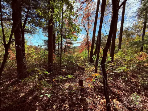312 Hollybrook S-1r Dr #S-1R, Flat Rock, NC 28731