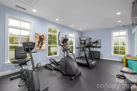 16215 Lakeside Loop Ln, Cornelius, NC 28031 photo 47