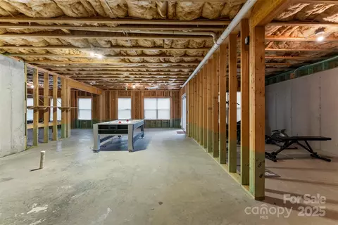 Other - 17514 Julees Walk Ln, Davidson, NC 28036 photo 12 of 13
