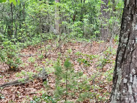 Sampson Road, Lenoir, NC 28645