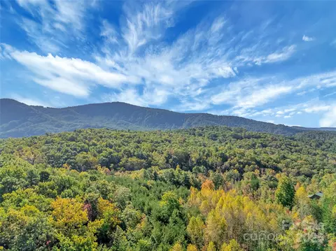 Other - 387 Wesley Ln, Saluda, NC 28773 photo 4 of 10