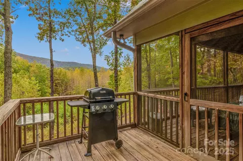 Exterior - 387 Wesley Ln, Saluda, NC 28773 photo 11 of 23