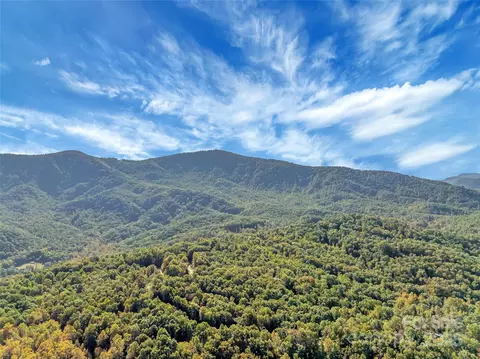 Other - 387 Wesley Ln, Saluda, NC 28773 photo 9 of 10