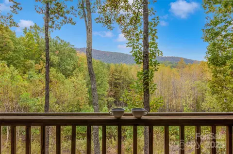 Exterior - 387 Wesley Ln, Saluda, NC 28773 photo 10 of 23