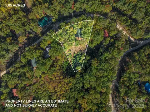 View/Area - 387 Wesley Ln, Saluda, NC 28773 photo 2 of 2